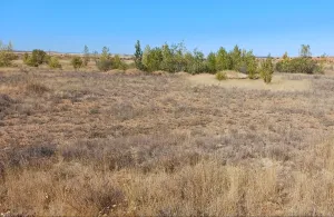 Finca rústica en Monfarracinos