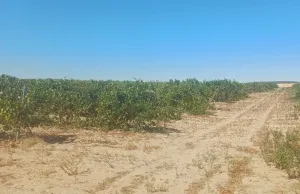 Finca rústica en Pozal de Gallinas