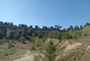 Finca rústica en Hernansancho