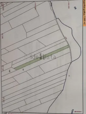 INMEJORABLES TERRENOS RÚSTICOS VIÑA DE SECANO