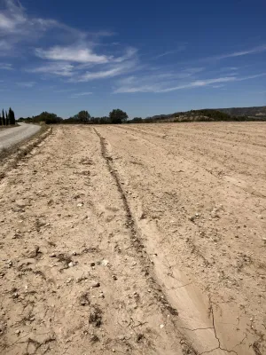 ÚLTIMA FINCA DE GRAN SUPERFICIE DISPONIBLE