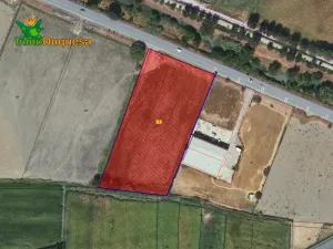 Finca rústica de regadío en la Vega de Granada. (Facil acceso a pie de ctra.)