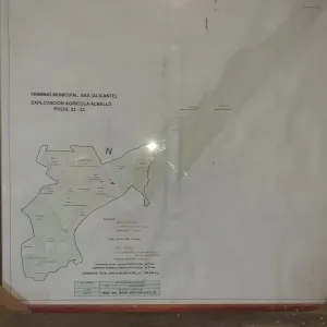 Finca rustica 155 H. olivos y viñas