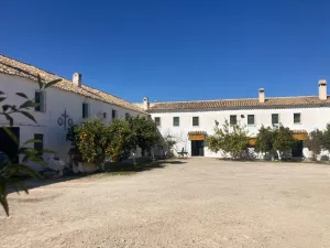 FINCA CORTIJO DE OLIVAR Y OCIO SUBBETICA