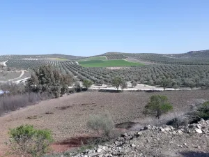 FINCA OLIVAR NORTE MÁLAGA