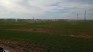 Arrendamiento 114 Ha. de regadío con pozo