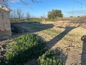 Finca Daya Nueva - Alicante