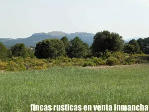 finca en venta 460 has. caza mayor y menor
