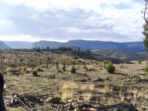 Finca de recreo y caza en Zaragoza Ref .1537