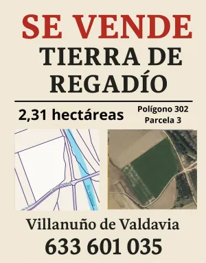 Finca de regadío 2,31ha Villanuño de Valdavia