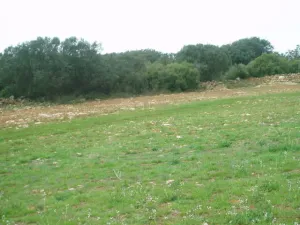 finca en venta 600 has. labor monte caza