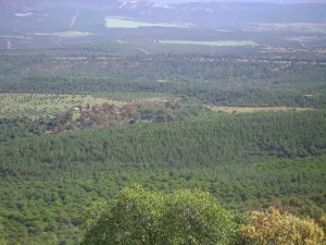 finca en venta 1450 has. caza mayor ganadera