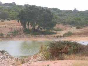 finca en venta 63 has recreo caza en Abenojar