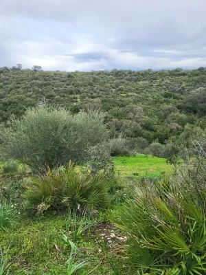 Se vende finca con vistas increíbles