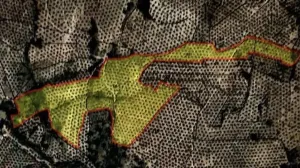 Vender finca olivos centenarios