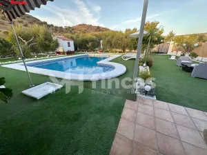 Finca de Olivar en Producción – 26 ha en Morón de la Frontera