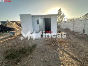 Finca Rústica con Nave, Invernaderos, Pozo y Luz Propia en Los Palacios – ¡Listo para Producir!