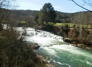 finca en venta de 29 has. recreo-caza