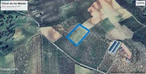 Venta de finca de Olivar