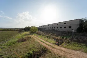 Venta de Espectacular Finca en Ariany  con CEDULA DE HABITABILIDAD– Ideal para Inversores