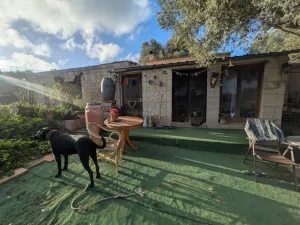 EN EXCLUSIVA - Encantadora Finca Rústica en Montuïri con Casa Renovada