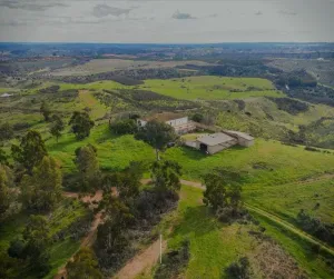 En venta finca con regadío, ganadera y con co
