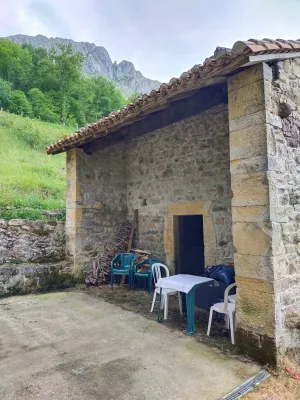 Cabaña con plantación de arandanos