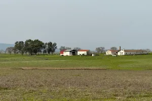FINCA GANADERA Y DE CULTIVO CERCA DE CÁCERES