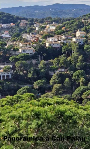 TERRENO RÚSTICO EN VENTA