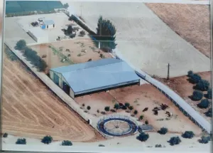 FINCA RUSTICA EN YELES