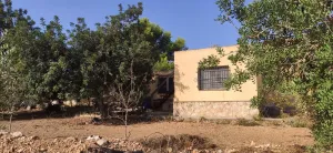 FINCA RÚSTICA CON CASA Y ALMACÉN