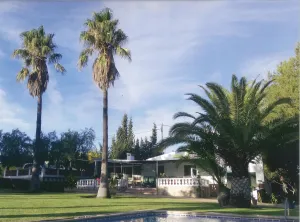 Venta de finca rústica en Xiribecs-Favaret, Amposta