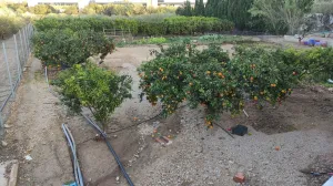 Terreno en venta en Amposta para cultivar tus plantas