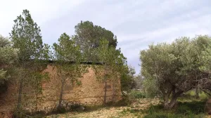 Venta de finca rústica en Xerta