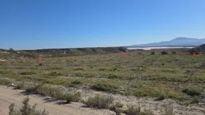 Amplia finca agrícola en Gañuelas