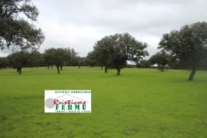 Finca ganadera en Fuente Obejuna.