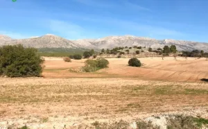 Venta de Finca rústica, agrícola y cinegética