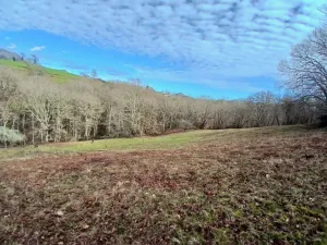 Se vende finca de 8000m2 en Cereceda, Piloña