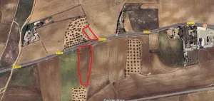 Dos fincas rústicas Torrijos acceso directo