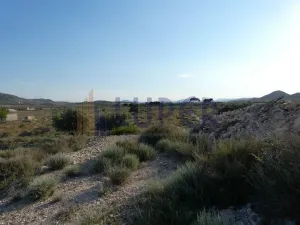 Finca en Agost Alicante