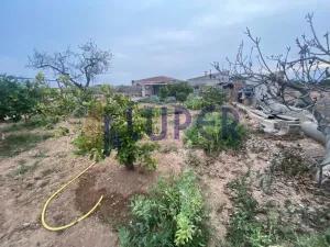 Finca en San Vicente del Raspeig