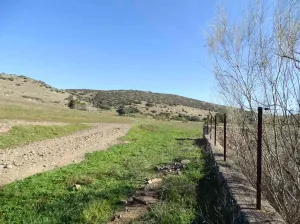 Finca 250 Ha. Castilla-La Mancha