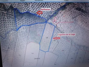 Venta 2 Fincas Deifontes y Cogollos Vega