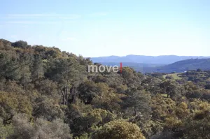 Finca rústica con vivienda en plena dehesa