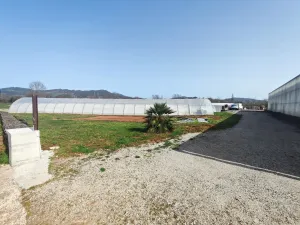 explotación agrícola en Llanera