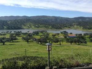 ESPECTACULAR FINCA RUSTICA Y GANADERA