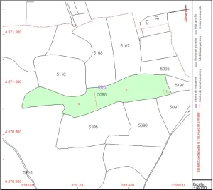 FINCA DE RECREO EN MEDINA DEL CAMPO