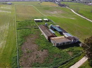 se vende o alquila finca de 1,5 hectarea