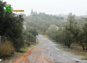 Finca rústica en Peligros - Sierra de la Alfaguara.