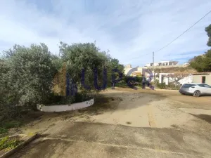 Finca Rústica en Agost, Patida Rochet